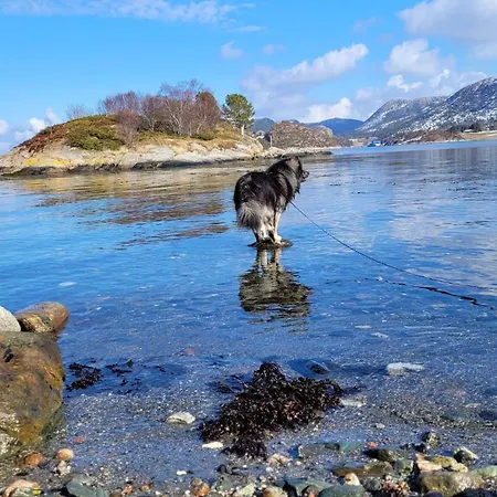 Дом отдыха Hemnskjel